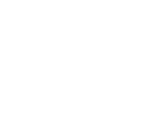 新达